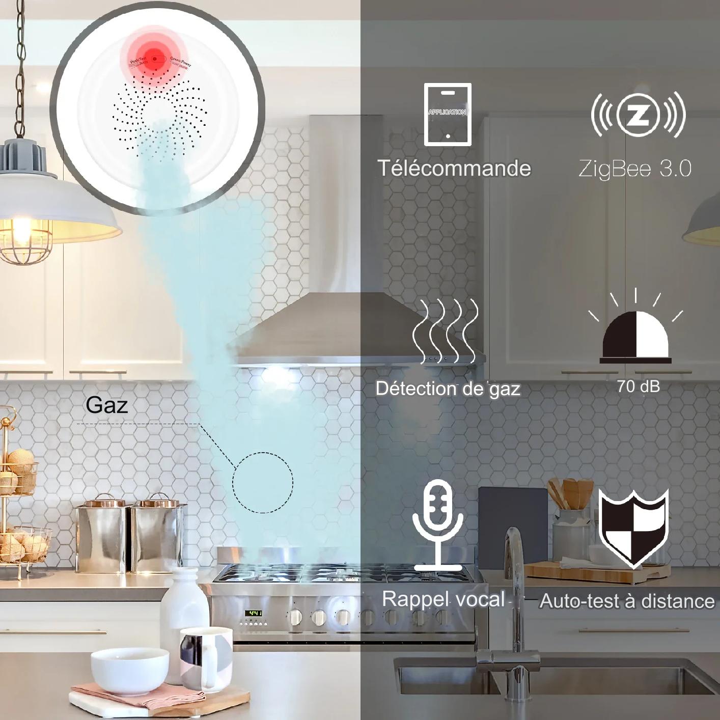 Détecteur de fuite de gaz intelligent - Capteur de combustible pour système d'alarme de sécurité domestique avec télécommande Smart Life App