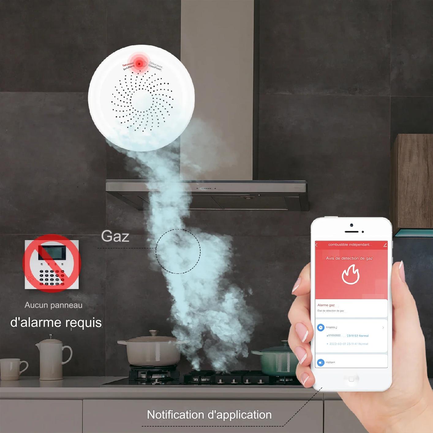 Détecteur de fuite de gaz intelligent - Capteur de combustible pour système d'alarme de sécurité domestique avec télécommande Smart Life App