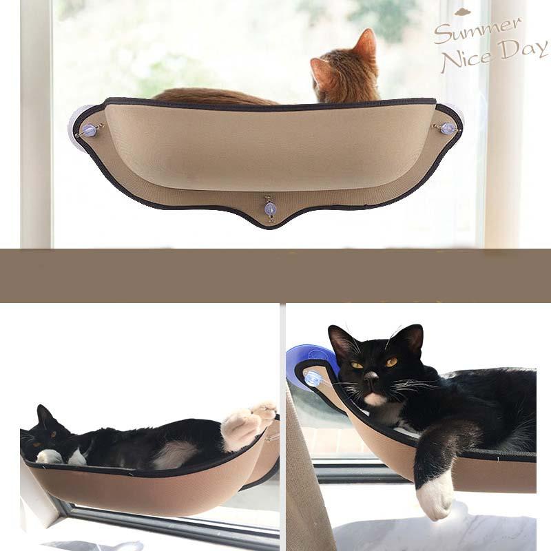 Hamac Chat Fenêtre Chat