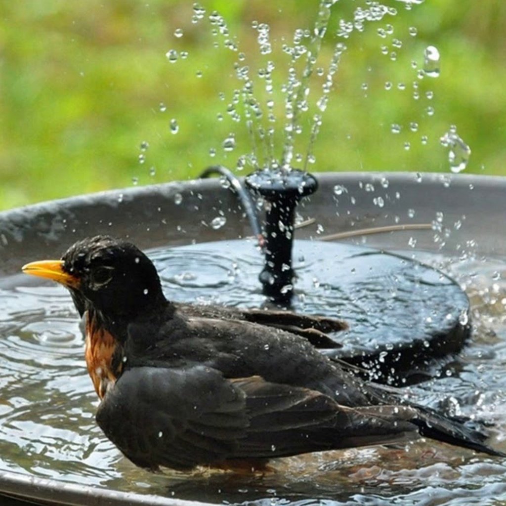 Smartgarden-Kit De Fontaine De Bain D'Oiseaux À Énergie Solaire