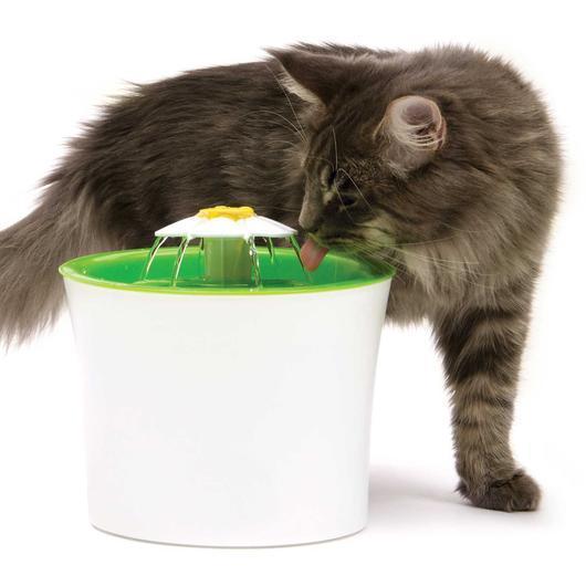 Fontaine D'Eau Pour Chat