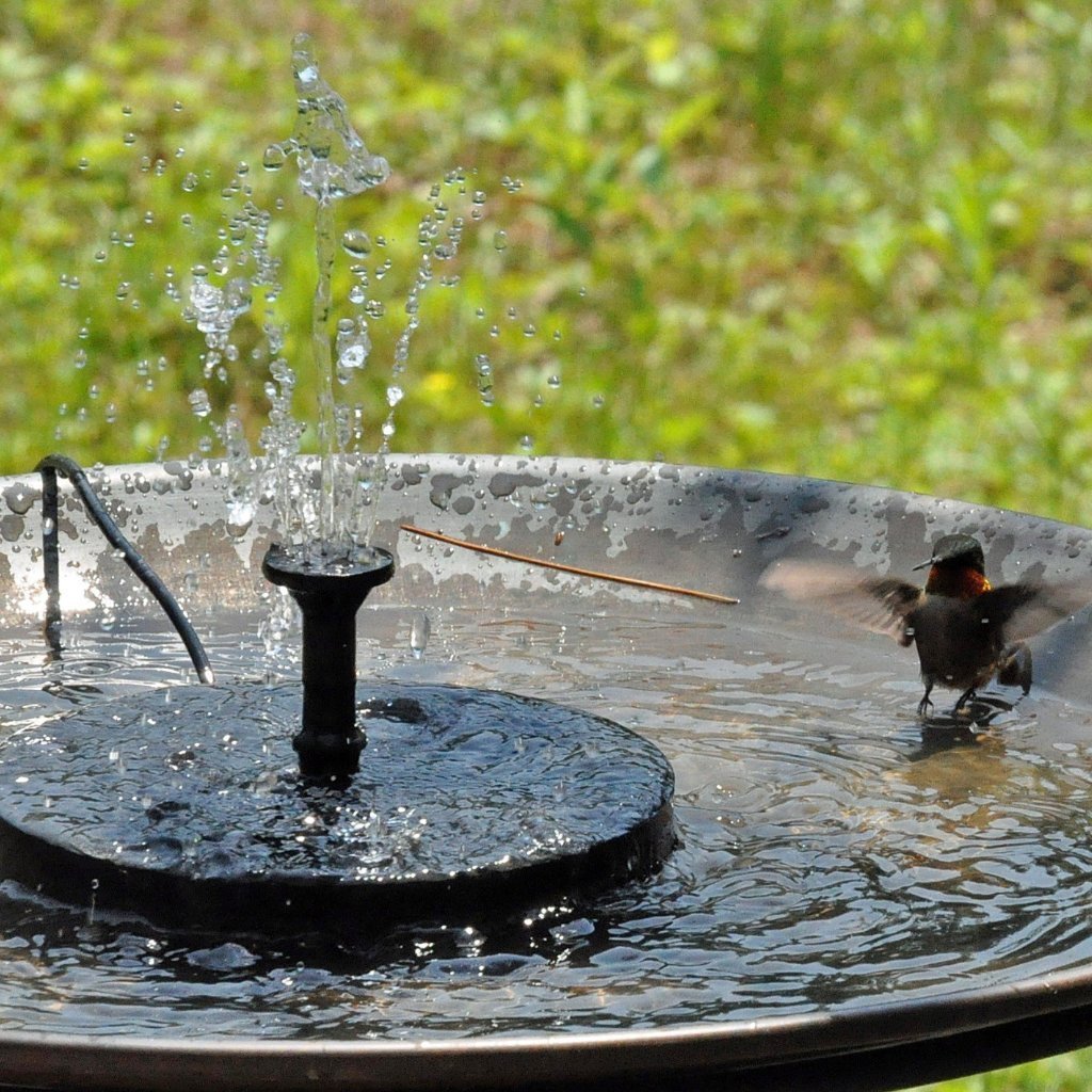 Smartgarden-Kit De Fontaine De Bain D'Oiseaux À Énergie Solaire
