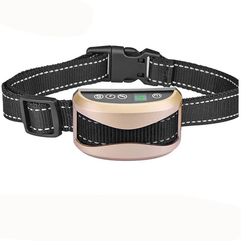 Dressage De Chiens-Pas De Collier De Chien En Écorce