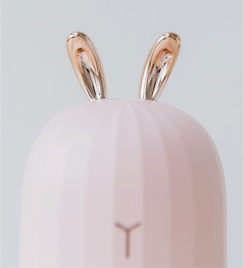 Humidificateur D'Huile À Ultrasons