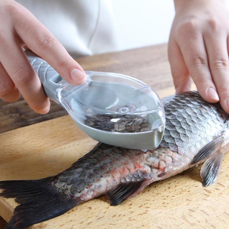 Outil En Écailles De Poisson