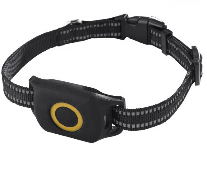 Localisateur GPS étanche pour chien, chat ou enfant