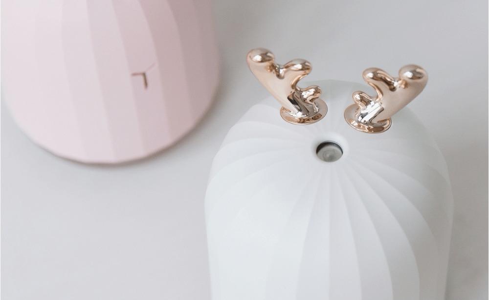 Humidificateur D'Huile À Ultrasons