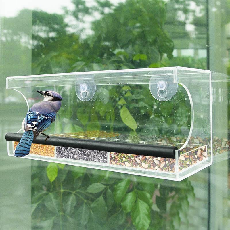 Mangeoire À Oiseaux À Fenêtre Solaire