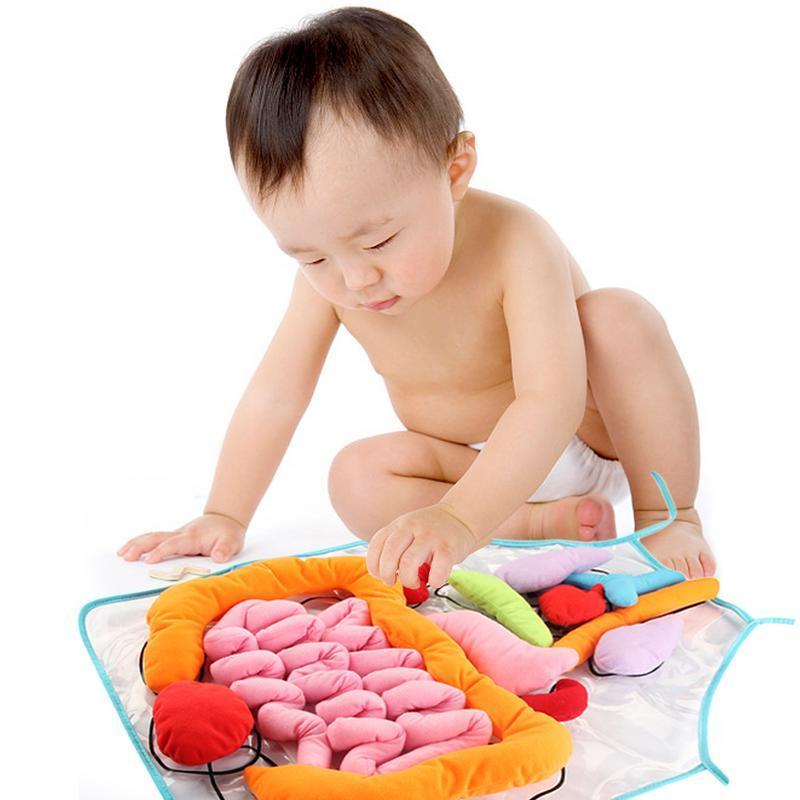 Tablier Éducatif Pour Enfants