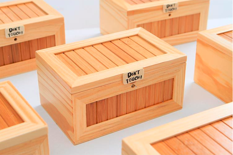 "Ne Touchez Pas!" Boîte En Bois Inutile