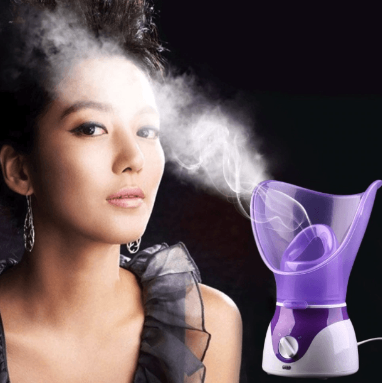 Nettoyage En Profondeur Sauna À Vapeur Pour Le Visage
