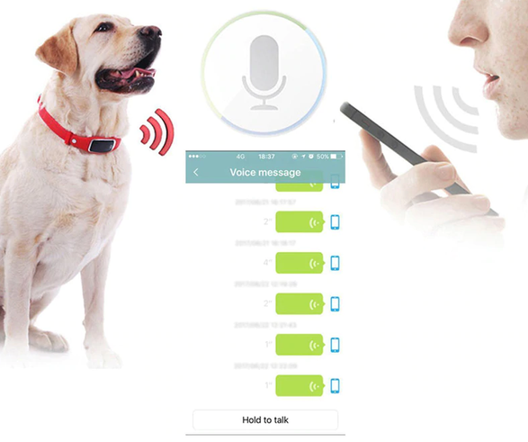 Traqueur Intelligent D'Animal De Compagnie