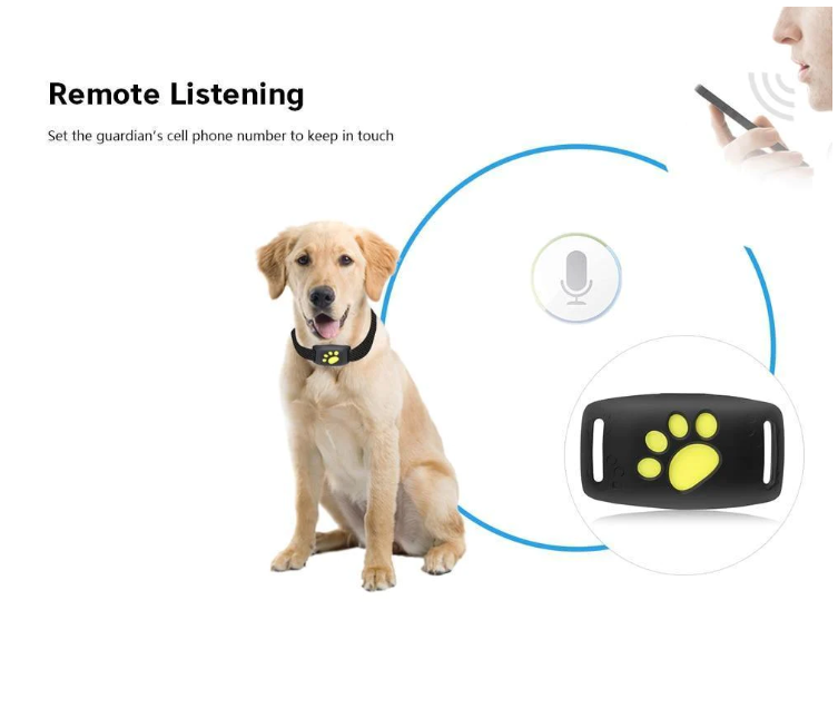 Dispositif de localisation de traqueur GPS Cat pour animaux de compagnie