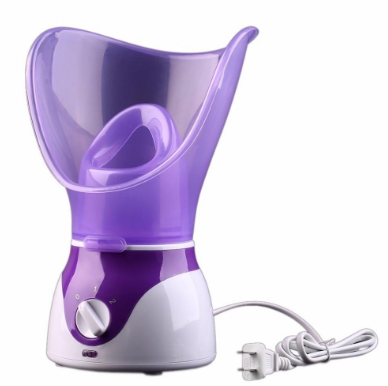 Nettoyage En Profondeur Sauna À Vapeur Pour Le Visage