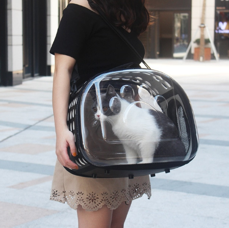 Sac De Transport Pliable Pour Chats