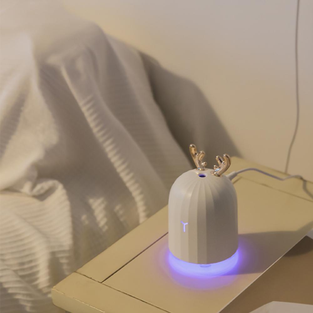 Humidificateur D'Huile À Ultrasons