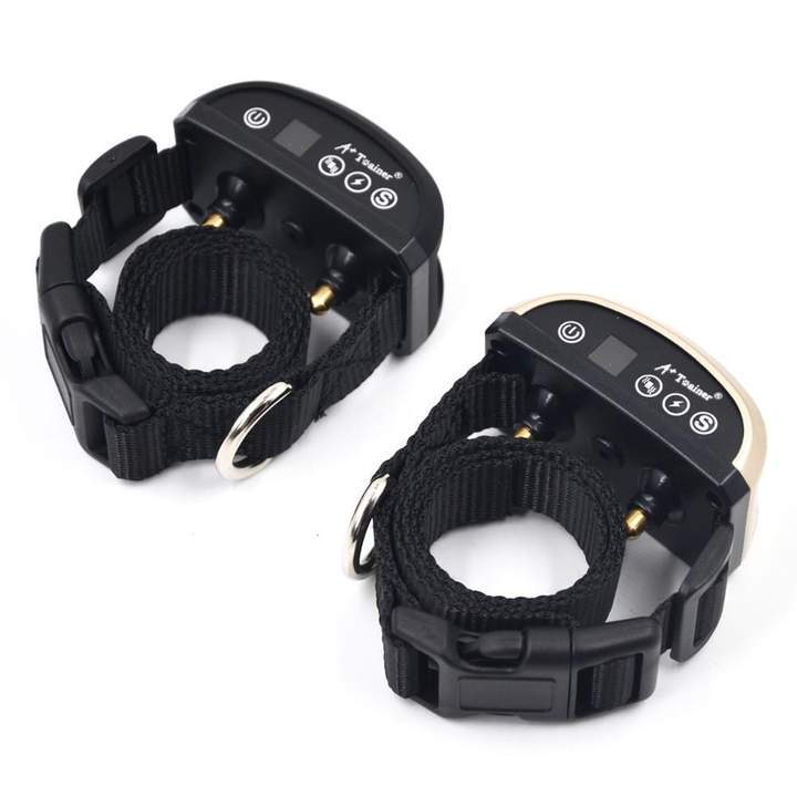 Dressage De Chiens-Pas De Collier De Chien En Écorce