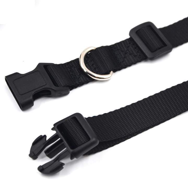 Dressage De Chiens-Pas De Collier De Chien En Écorce