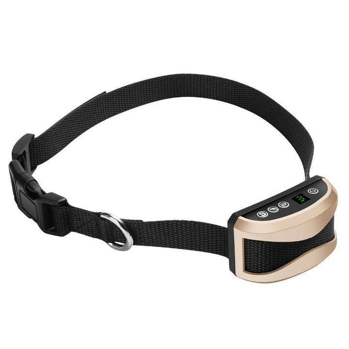 Dressage De Chiens-Pas De Collier De Chien En Écorce