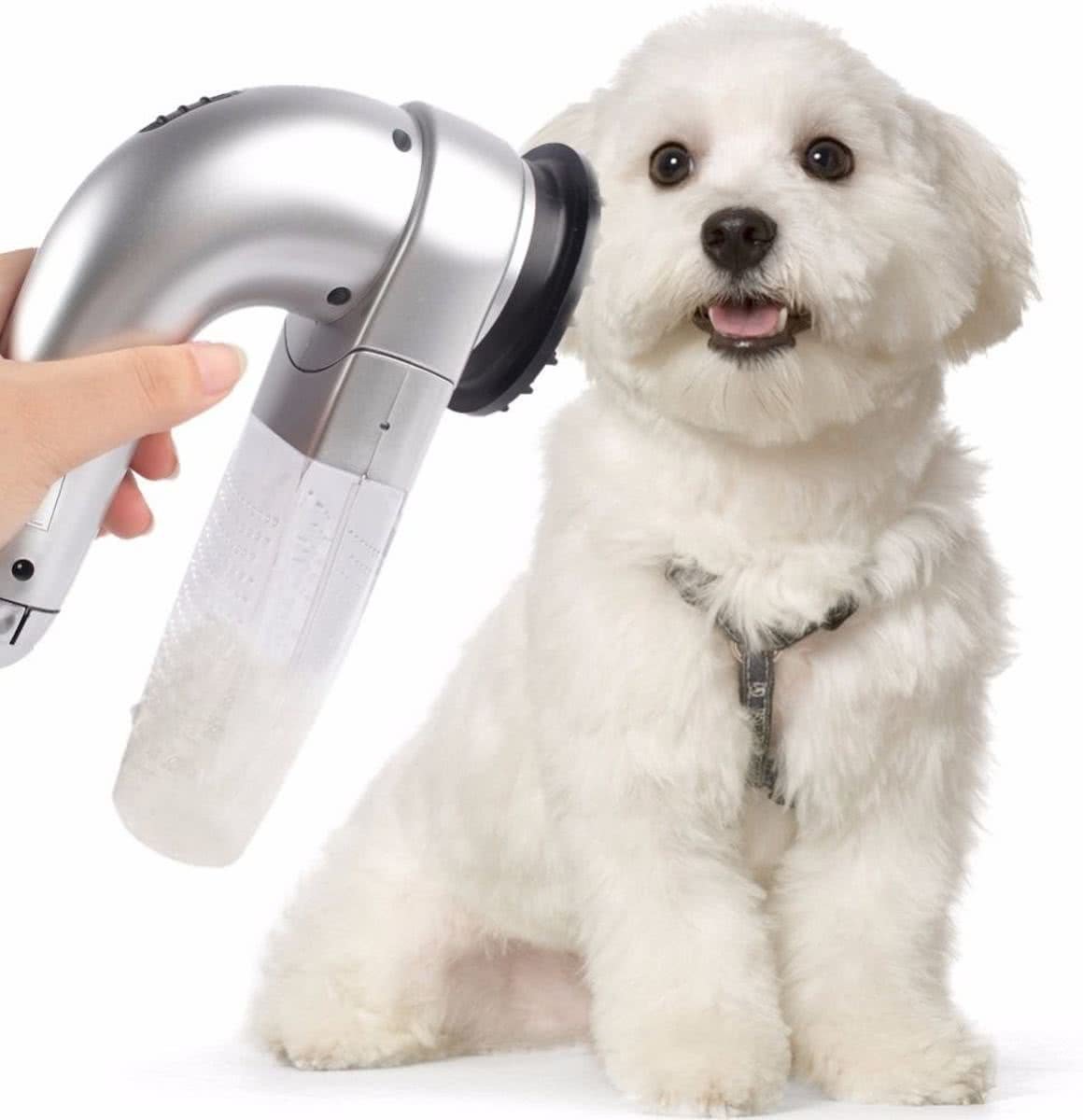 Aspirateur À Cheveux Portable