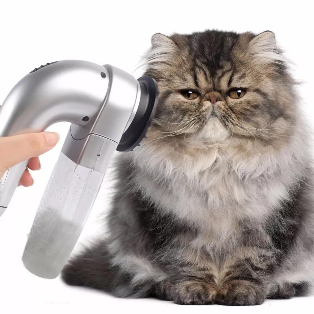 Aspirateur À Cheveux Portable