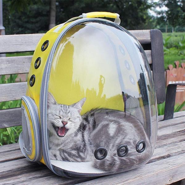 Sac De Chat