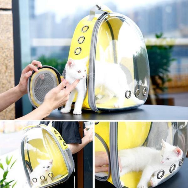 Sac De Chat