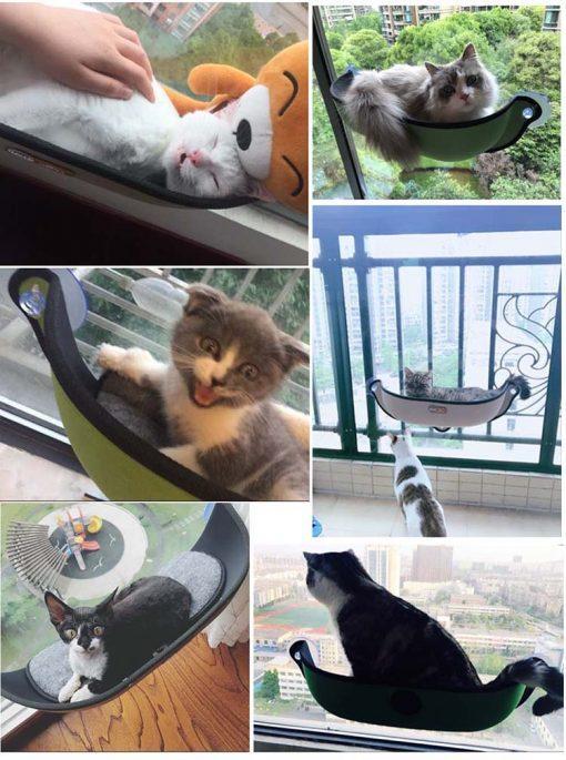 L'Original Perche De Hamac Pour Fenêtre Chat-Boîte Pour Fenêtres Chat