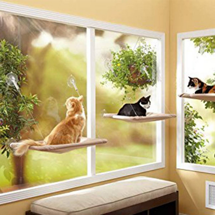 Lit Monté Par Fenêtre De Chat