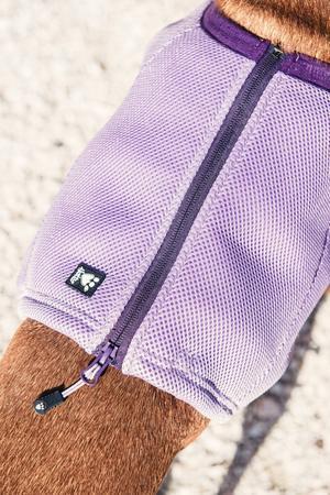 Gilet De Refroidissement Chien D'Évaporation