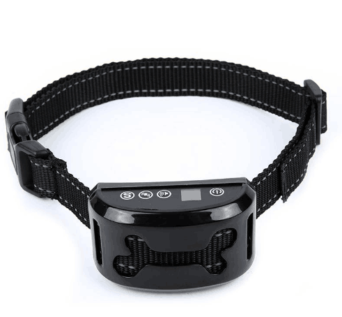 Dressage De Chiens-Pas De Collier De Chien En Écorce