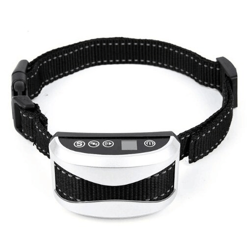 Dressage De Chiens-Pas De Collier De Chien En Écorce
