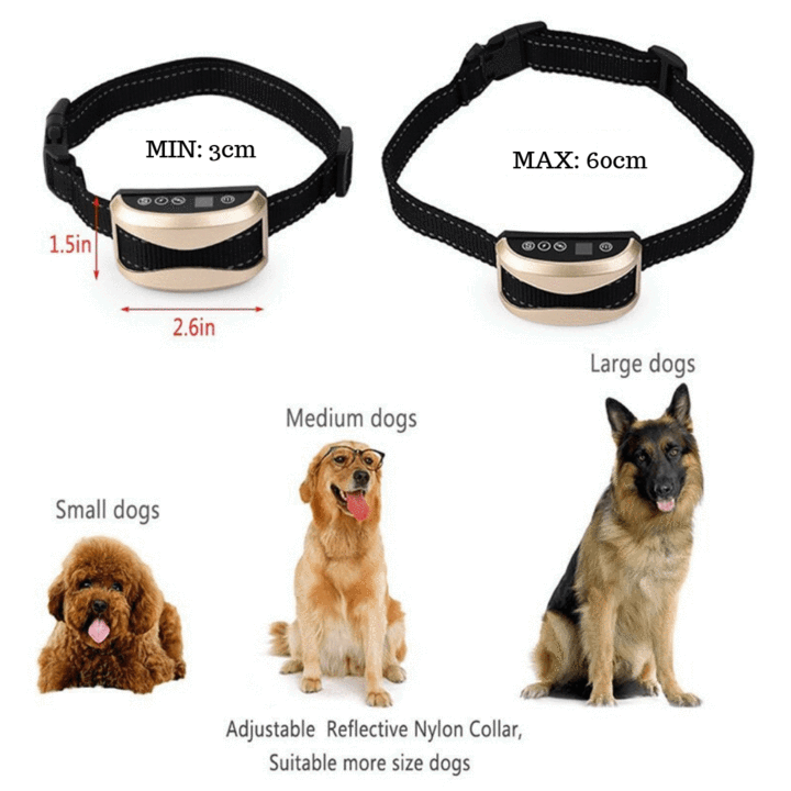 Dressage De Chiens-Pas De Collier De Chien En Écorce