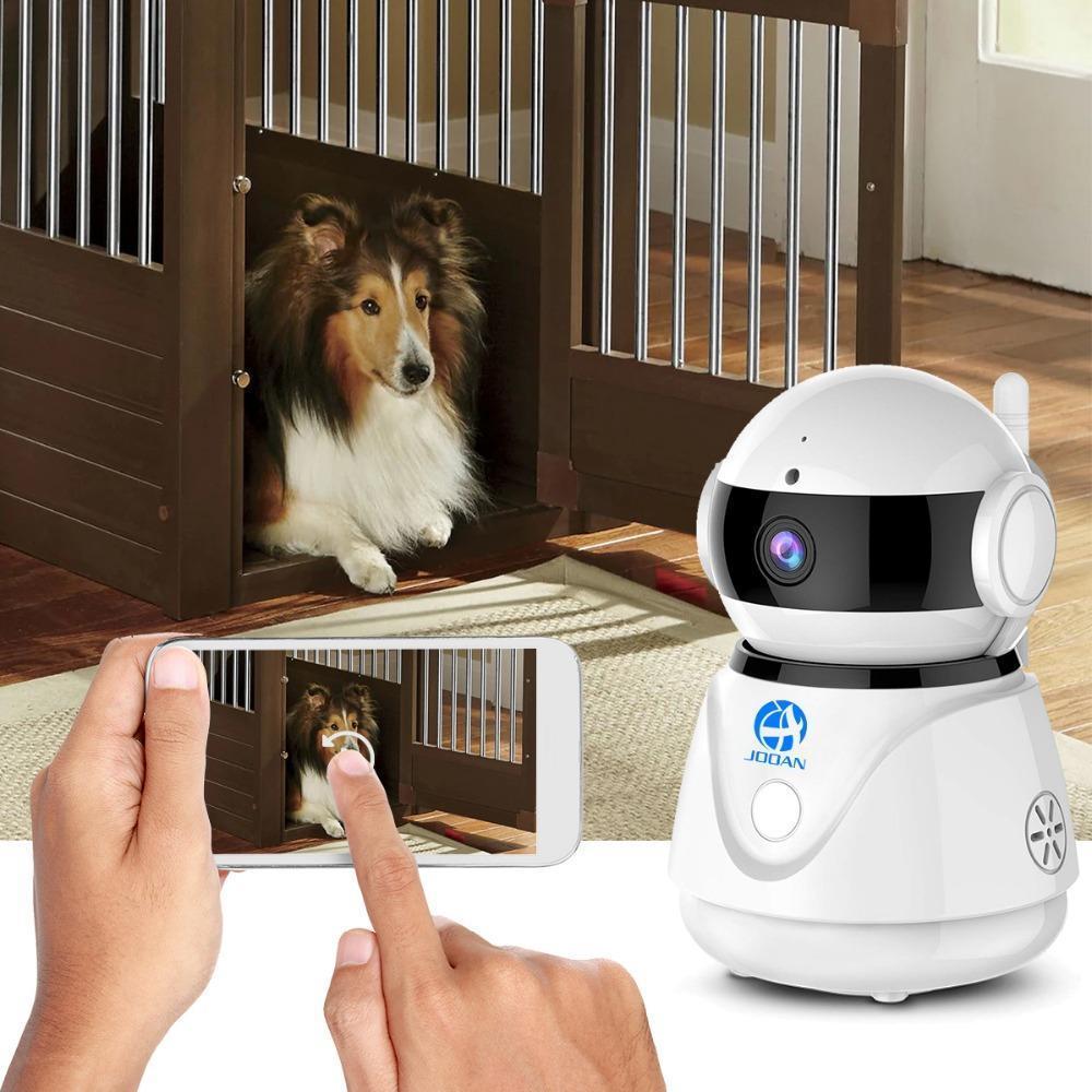 Caméra Sans Fil Cctv Pour Animaux De Compagnie-Moniteur Pour Chats Et Chiens