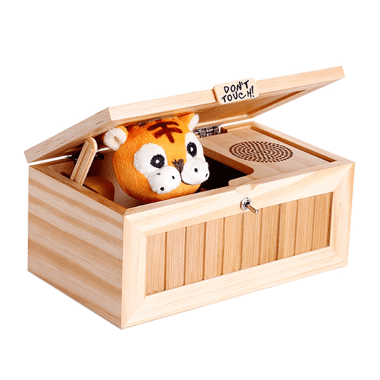 "Ne Touchez Pas!" Boîte En Bois Inutile