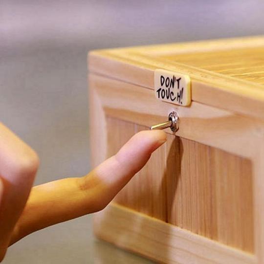 "Ne Touchez Pas!" Boîte En Bois Inutile