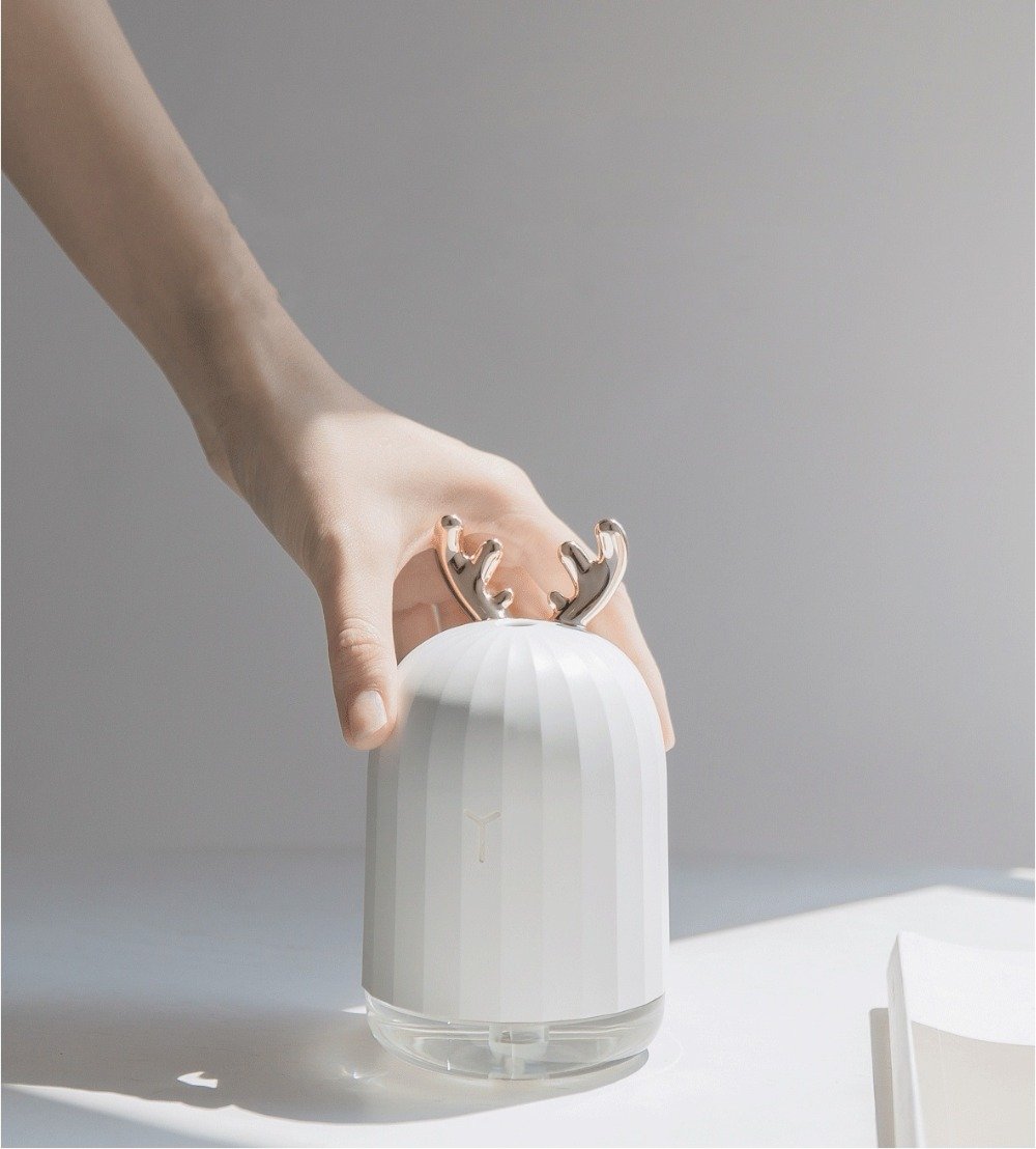 Humidificateur D'Huile À Ultrasons
