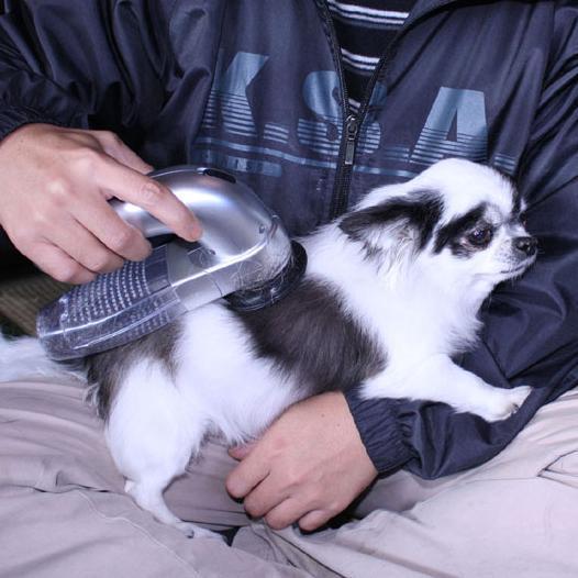 Aspirateur À Cheveux Portable