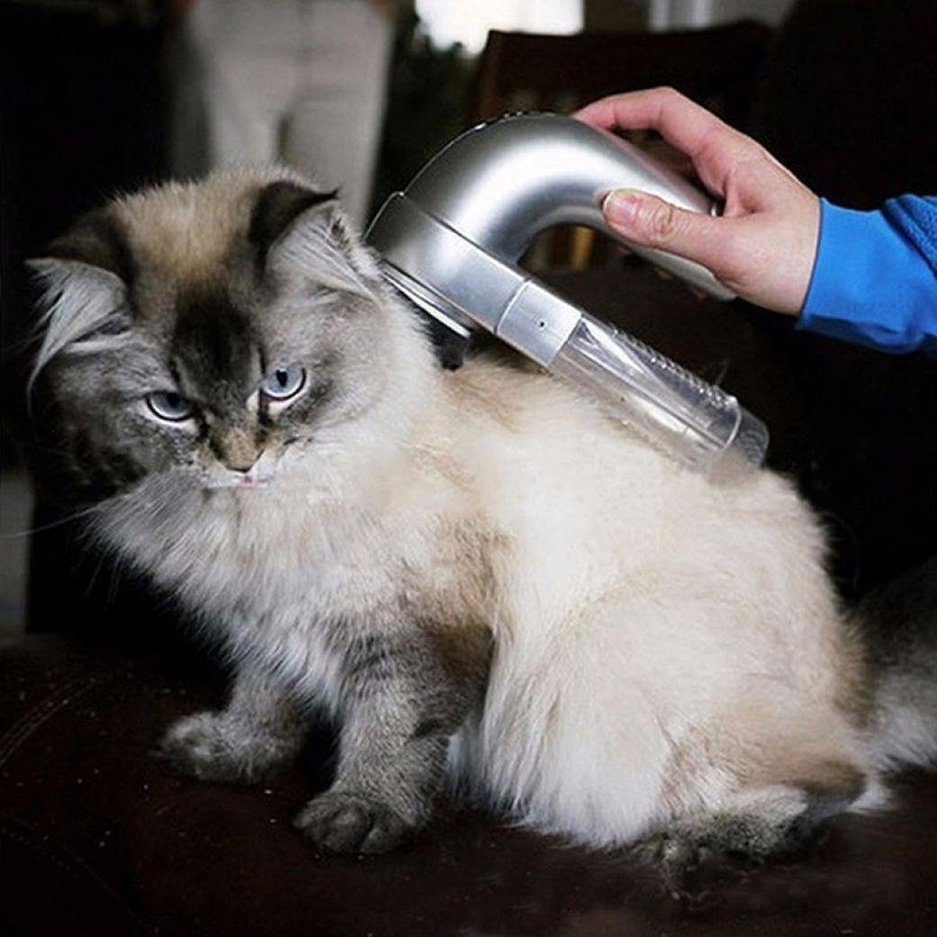 Aspirateur À Cheveux Portable