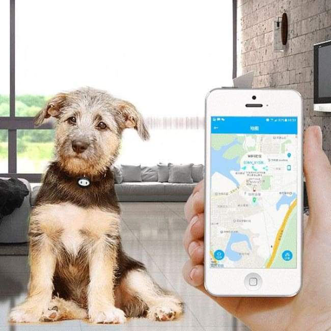Moniteur Tracker Gps Dog Microchip-Imperméable