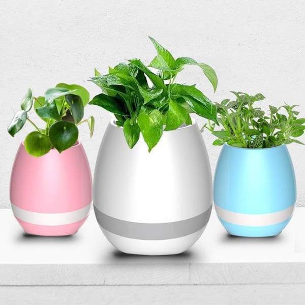 Magic Music Flowerpot
