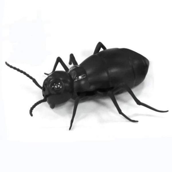 Blatte/Araignée/Fourmi Télécommandée