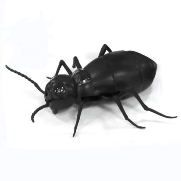 Blatte/Araignée/Fourmi Télécommandée
