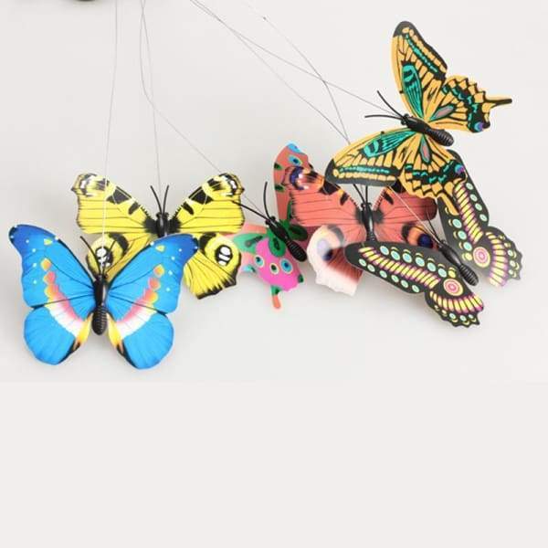 Papillon Volant Danse Solaire