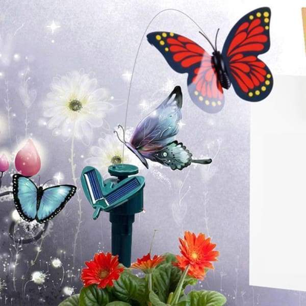 Papillon Volant Danse Solaire