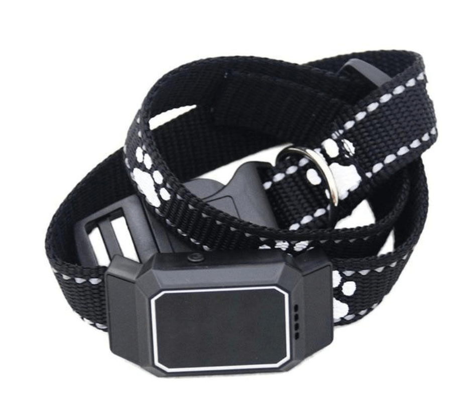Mini Gps Tracker Pour Chien