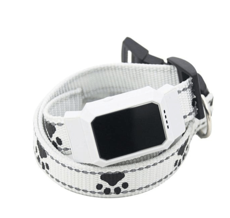 Mini Gps Tracker Pour Chien