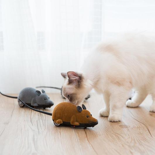 Jouet Souris Chat Télécommande