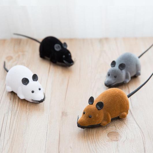 Jouet Souris Chat Télécommande