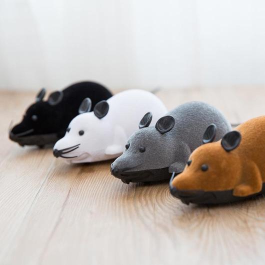 Jouet Souris Chat Télécommande